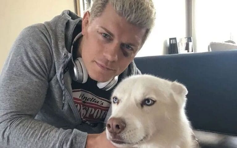 Cody Rhodes Plans Final WWE Road Trip with Dog Pharaoh Due to Aging Concerns
