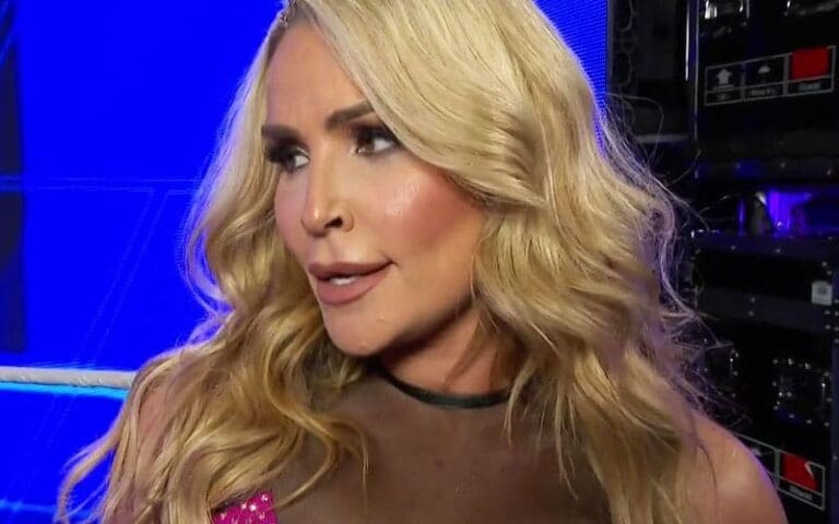 Natalya's Current WWE Return Status Amidst Extended Television Absence