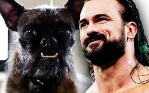 Drew McIntyre Taunts CM Punk’s Dog Larry Ahead of Hell In A Cell Match at WWE Bad Blood