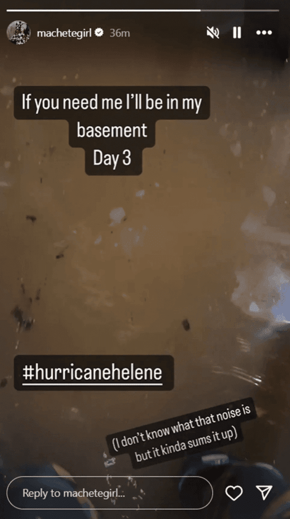 lita-reveals-heartbreaking-impact-of-hurricane-helene-on-her-property-43