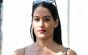 Nikki Bella Spotted Out With Son Matteo After Filing for Divorce From Artem Chigvintsev