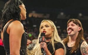 WWE's Booking Strategy for Shark Cage Stipulation at Bad Blood Revealed