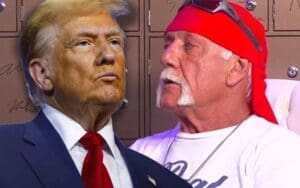 Hulk Hogan Admits He Never Voted in His Life Before Donald Trump