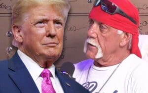 Hulk Hogan Reveals How Donald Trump's Assassination Attempt Affected Him