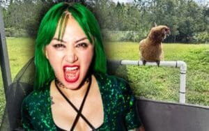Shotzi Deals With Unexpected Chicken Invasion After Hurricane Milton