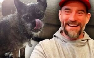 CM Punk Reacts to His Dog Larry Outselling WWE Superstars with Hilarious Instagram Post