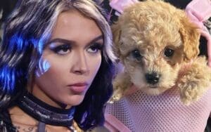 Cora Jade Finds Love Again with a New Mini Poodle After Saying Goodbye to Stitch