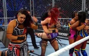 Rhea Ripley Pins Liv Morgan to Win Women's WarGames Match at 2024 WWE Survivor Series