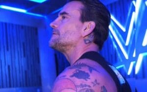 WWE Drops Never-Before-Seen Footage of CM Punk's 11/22 SmackDown Return