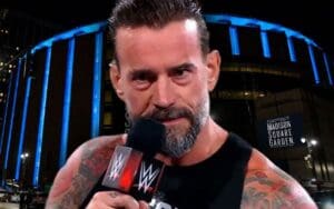 CM Punk's Opponent Revealed for WWE's Madison Square Garden Return