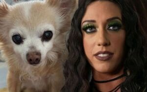 WWE NXT Star Jacy Jayne Mourns the Loss of Her Beloved Dog