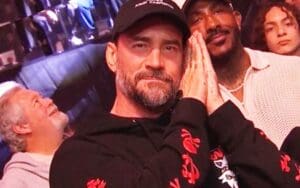 CM Punk Makes Surprise Appearance at UFC 311 Event