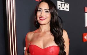 Nikki Bella Expected to Make WWE Return After Successful Talks