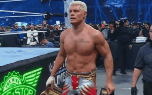Cody Rhodes' WWE Future In Question After Brutal Royal Rumble Ladder Match