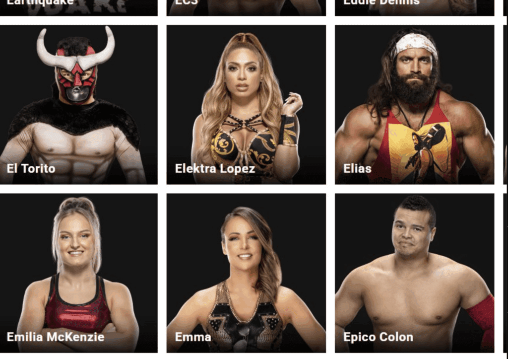 Elektra Lopez Quietly Moved to WWE Alumni Section—Is She Gone?