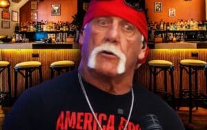 Hulk Hogan Reveals Plans for NYC Bar Near Madison Square Garden