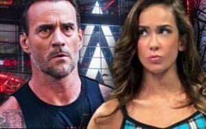WWE Star Admits to Harassing CM Punk Over AJ Lee’s Return