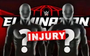 Injury Status for WWE Talent Following Elimination Chamber Revealed