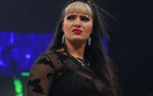 Steph De Lander Shuts Down Wild Speculation About Her Breast Reduction