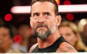 CM Punk Called Out for a Fight Outside of WWE