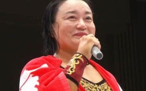 Meiko Satomura Retires After 30 Years in Professional Wrestling