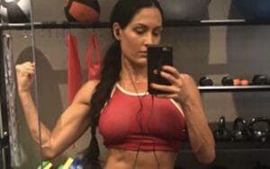 Nikki Bella Secretly Training Weekly for WWE Comeback