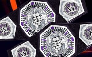 WWE Nearly Launched Cruiserweight Tag Division with Title Belts