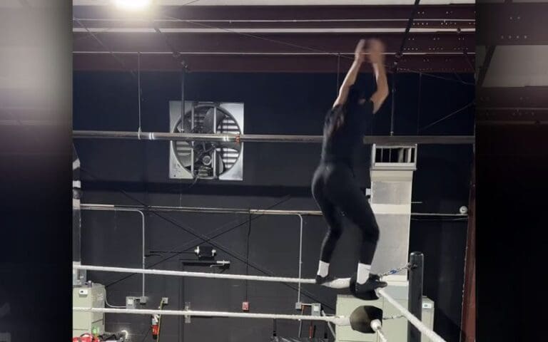 Dani Palmer Reveals Unseen Finisher After WWE Exit