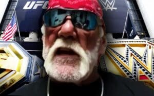 Hulk Hogan Claims Real American Freestyle Wrestling Could Be as Big as WWE and UFC
