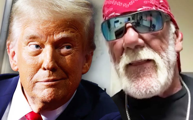 Hulk Hogan Teases Donald Trump Appearance at Real American Freestyle Wrestling Debut Show