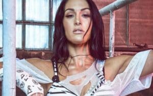 Nikki Bella Reveals She’s Preparing for WWE Comeback With New Training Regimen