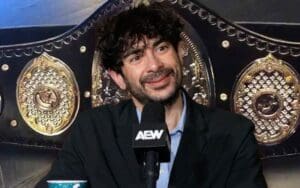 Tony Khan Addresses Introducing AEW Women's Tag Team Titles