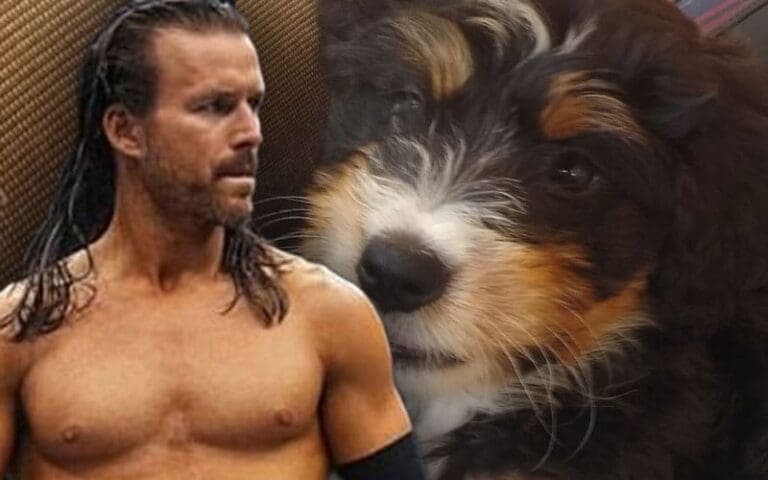 Adam Cole Introduces His New Bernedoodle Puppy Aloy