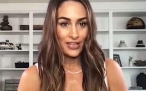 Nikki Bella Explains Why Now Was the Perfect Time for Her WWE Return