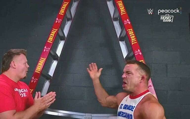 WWE Money in the Bank Ladders Covered in Fireball Branding
