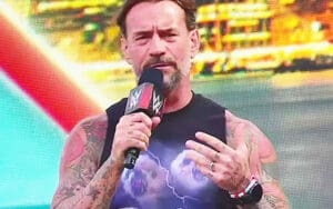 CM Punk Calls Out “Piss Baby” Behavior From Seth Rollins and Drew McIntyre