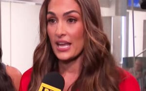 Nikki Bella Says She’ll Never Sign Marriage Papers Again After Divorce