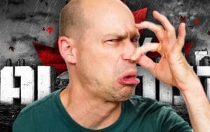 AEW All Out Fan Gives Up Floor Seats After "Unbearable" Smell Forces Them to Move