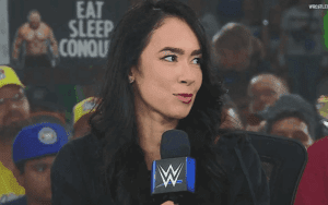 AJ Lee Comments On Her Condition After Return Match At WWE Wrestlepalooza