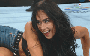AJ Lee Makes Becky Lynch Tap Out In WWE Return Match At WrestlePalooza