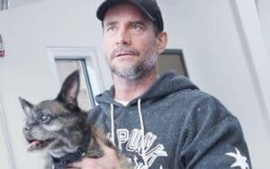 CM Punk Reveals His Dog Larry Underwent Surgery
