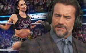 CM Punk Says WWE Had Plans for AJ Lee Even Without an In-Ring Return