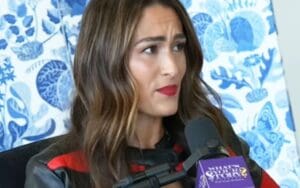 Nikki Bella Sets Strict New Rules for Dating After Divorce