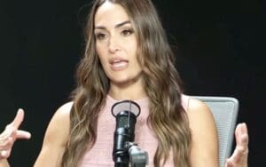 Nikki Bella Shuts Down ‘Red Flag’ Accusations After Setting Strict Rules for Dating Life