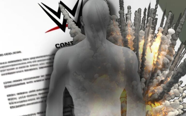 Legal Analysis Says WWE Superstars' Independent Contractor Status May ...