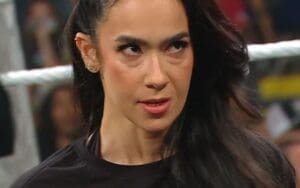 AJ Lee Targeted With Deranged ICE Threats After WWE RAW Return
