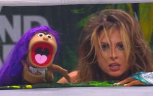 Harley Cameron Explains Origins of Mini Moné and Puppet Mayhem