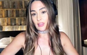 Nikki Bella Admits Thirst Traps Are the Only Time She Gets Attention