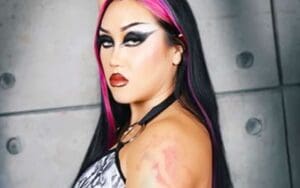 Viva Van Promotes AEW Full Gear with Cheeky Lingerie Photo Drop