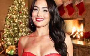 Nikki Bella Confirms Role in Christmas Movie ‘The Gift Exchange’